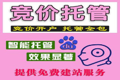 成功案例揭秘：SEM托管公司的策略与技巧