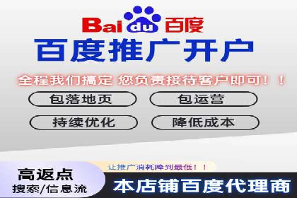 百度推广费用与广告创意结合的案例研究